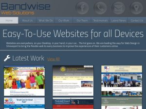 Bandwise.com